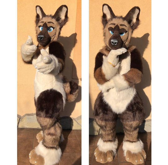 German Shepherd Fullsuit